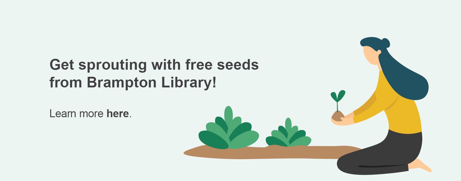 Seed library 2024