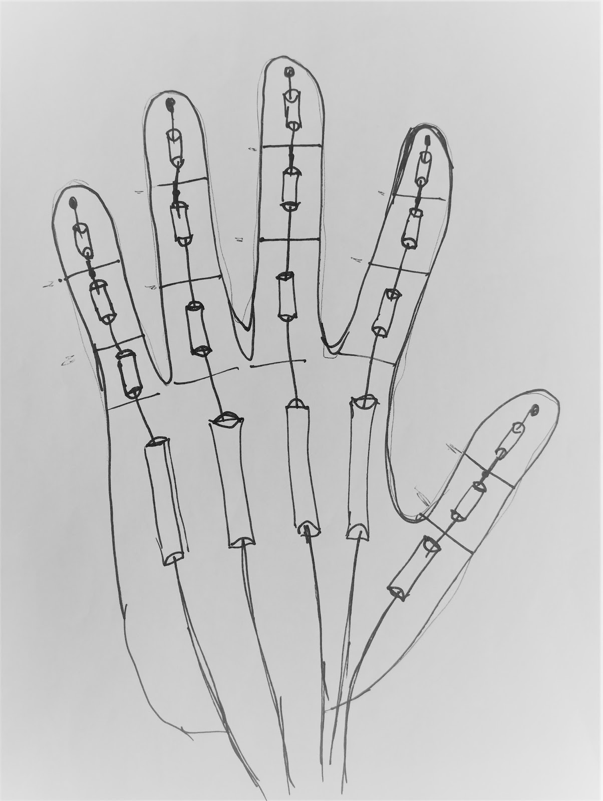 Articulated Hand