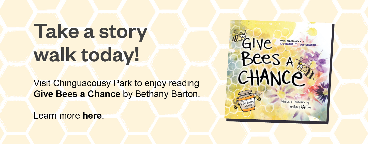 The cover image for Give Bees a Chance is featured on a light yellow honeycombed background. The book cover shows four illustrated bees, a jar of honey, and flowers. Banner text reads: Take a story walk today! Visit Chinguacousy Park to enjoy reading Give Bees a Chance by Bethany Barton. Learn more here.